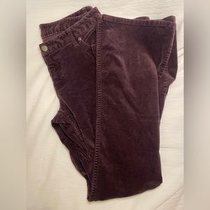Plum Corduroy Boot-Cut Pants
